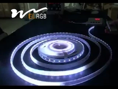Ws2811 Ws2813 Self Adhesive LED Strip Rgbw Ws2812B Tape Light Black White