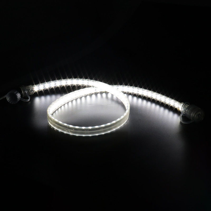 Best Seller IP68 Waterproof Led Swimming Pool Lighting 12v Tape Light Flexible Dotless Dob Silicon Light Led Strip Cob L