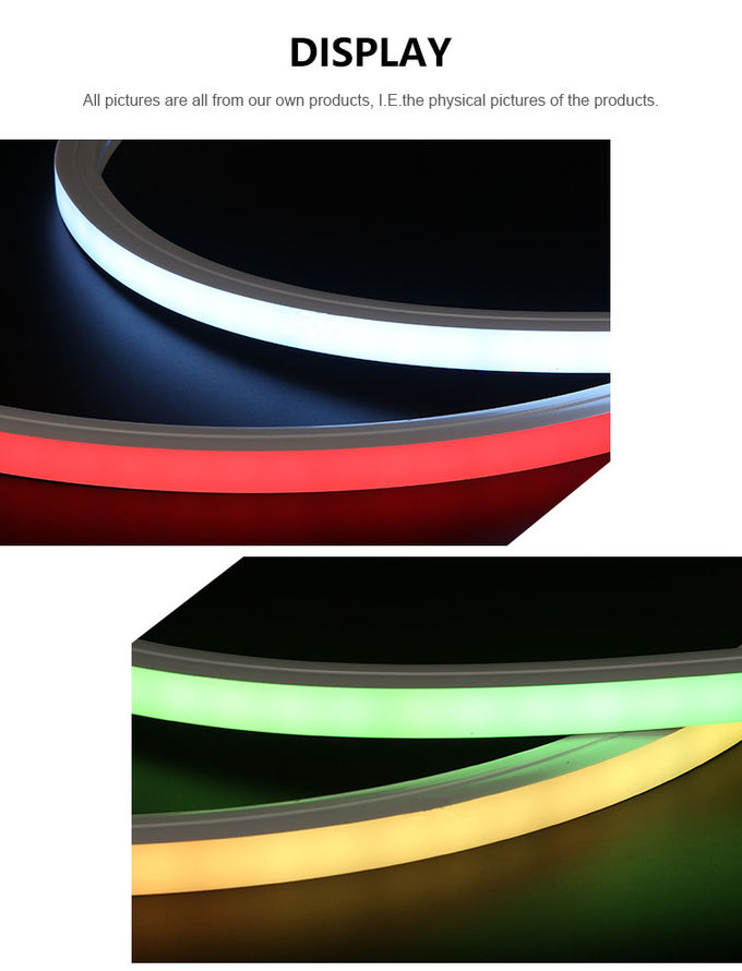 16*16mm Smd5050 Led Neon 24V Flexible Led Strip Waterproof Neon Lights 3