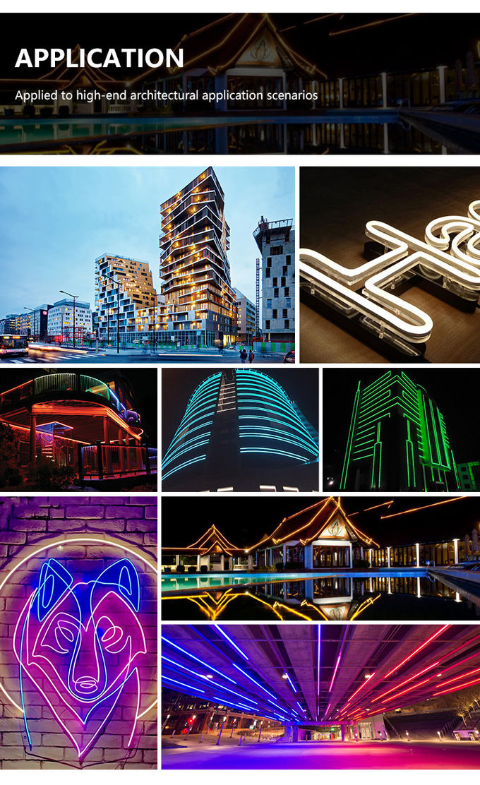 16*16mm Smd5050 Led Neon 24V Flexible Led Strip Waterproof Neon Lights 8