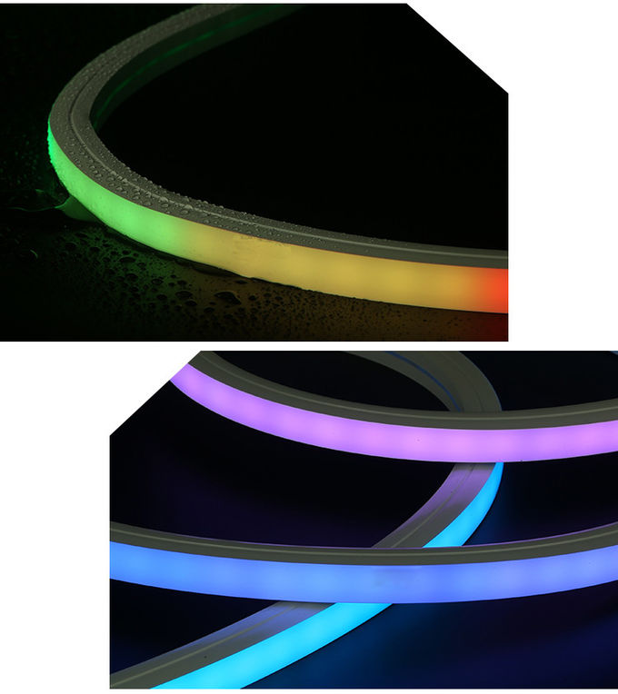 16*16mm Smd5050 Led Neon 24V Flexible Led Strip Waterproof Neon Lights 4