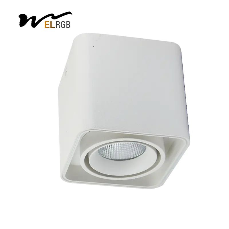 25w 30w Square LED Spotlight Indoor Work Light Trimless COB Surface Mounted