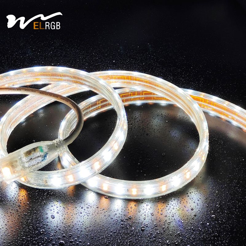 Outdoor LED Light Strip 110V 220V Double Rows White and Warm White Dual Color with Dimmer Support