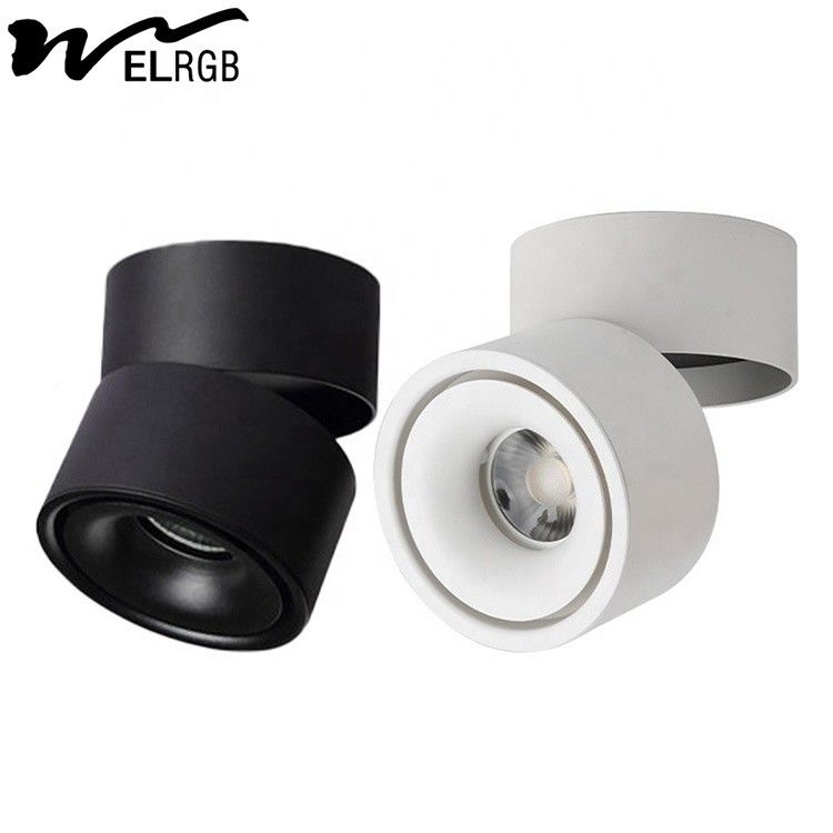 Remote Control Switch Mode LED Cylindrical COB Open-Mounted Downlights for Smart Home
