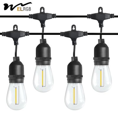 Good price 2700K-6500K 1w Led Filament Bulb LED Decorative Lights For Garden online