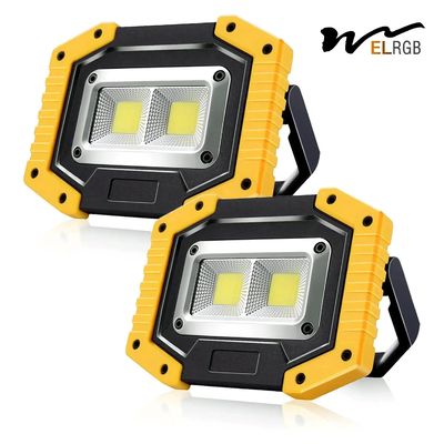 Good price 30W 1500LM Rechargeable Portable Flood Light Outdoor Working Light For Camping online