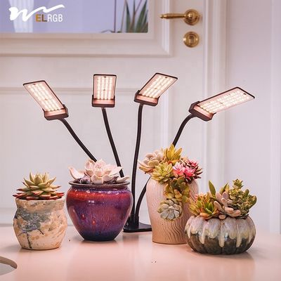 Good price 50000 Hours Working Time Full Spectrum Light for Indoor Green Plants Imitation Sunlight online