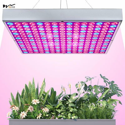Good price Grow Light Room 75W LED Plant Growth Lamp 225 LEDs UV IR Red Blue Full Spectrum Bulb Panel online