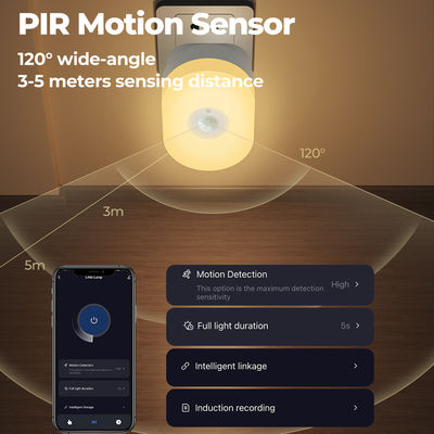 Oval Tuya Pir Sensor Night Light Bathroom Motion Sensor Night Light