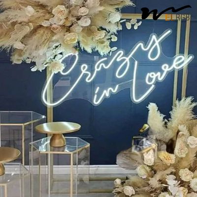 12V Neon Sign Acrylic LED Decorative Lights 6000k Plexiglass Neon Signs