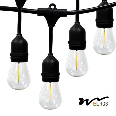 2700K-6500K 1w Led Filament Bulb LED Decorative Lights For Garden