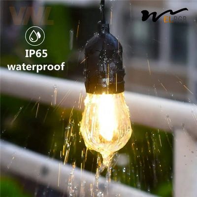 2700K-6500K 1w Led Filament Bulb LED Decorative Lights For Garden