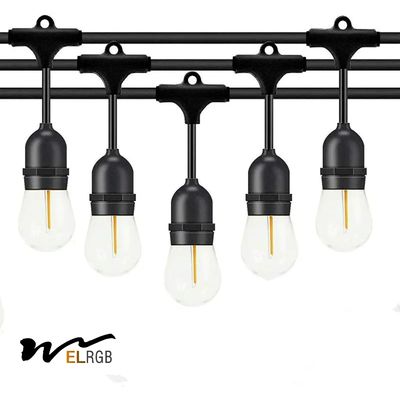 2700K-6500K 1w Led Filament Bulb LED Decorative Lights For Garden