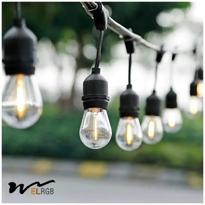 2700K-6500K 1w Led Filament Bulb LED Decorative Lights For Garden