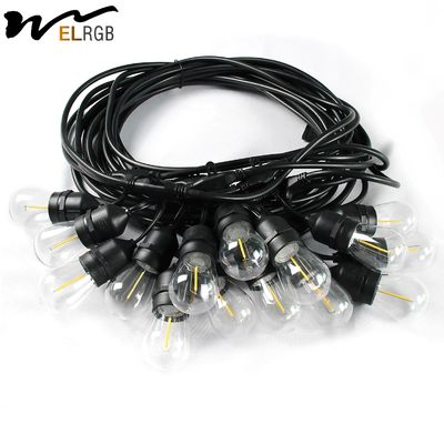 2700K-6500K 1w Led Filament Bulb LED Decorative Lights For Garden
