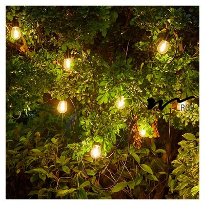 2700K-6500K 1w Led Filament Bulb LED Decorative Lights For Garden
