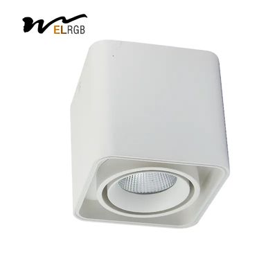 25w 30w Square LED Spotlight Indoor Work Light Trimless COB Surface Mounted