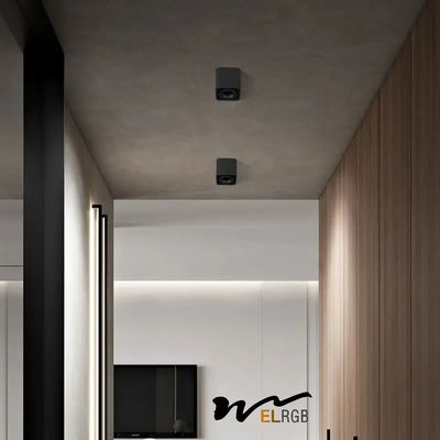 25w 30w Square LED Spotlight Indoor Work Light Trimless COB Surface Mounted