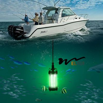 200W 1000W Submersible Fishing Light Outdoor Working Light AC220V