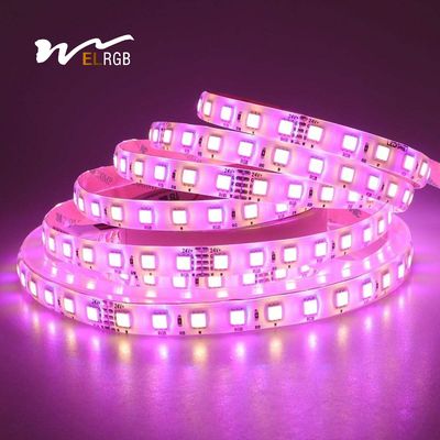 DIY RGBW Self Adhesive LED Strip 60LEDs IP67 Self Adhesive Led Tape