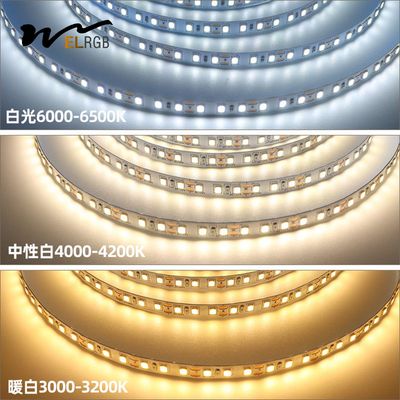 10mm 240leds Self Adhesive LED Strip 22W/M Warm White Cool White Led Strip