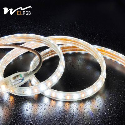 Outdoor LED Light Strip 110V 220V Double Rows White and Warm White Dual Color with Dimmer Support