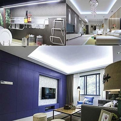 Transparent Shadow Color LED Flexible Strip Lights 276led/m for Garden Outdoor Decor
