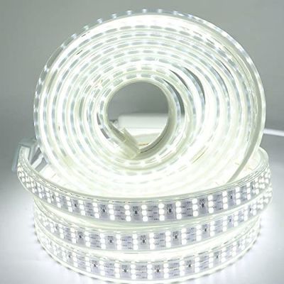 Transparent Shadow Color LED Flexible Strip Lights 276led/m for Garden Outdoor Decor