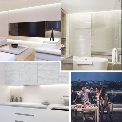 LED Light Belt 6.1m 3087 Warm White 2000K CRI 90 High Lumen DC24V Flexible Strip Light