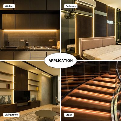 LED Light Belt 6.1m 3087 Warm White 2000K CRI 90 High Lumen DC24V Flexible Strip Light