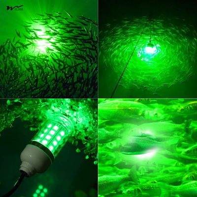 Acrylic Shade Material 12V 10W/45W LED Submersible Fishing Light for Squid and Shrimp