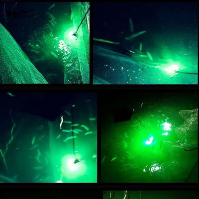50000 Hours Lifespan 12V High Power 100W 200W Underwater Fishing Light for Night Fishing