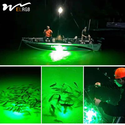 50000 Hours Lifespan 12V LED Underwater Squid Fishing Lamp for Sea Fishing