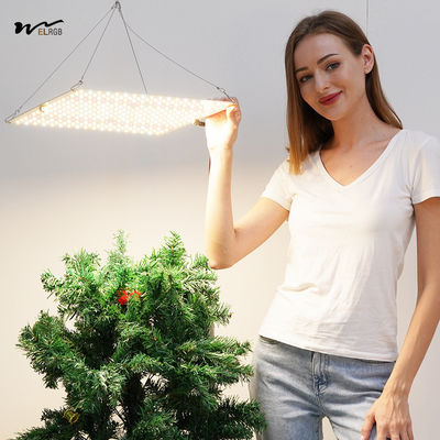 225 LED Beads 8000lm 600W 1200W 2000W Plant Growth Light for Greenhouse Succulent Seedling
