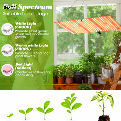 Hanging Full Spectrum LED Plant Light for Germination and Flowering in Grow Tents