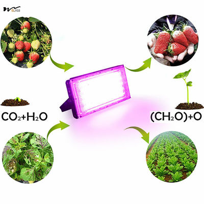 Seed Starting 50W Full Spectrum Plant Lamp with Stand LED Standing Floor Grow Light