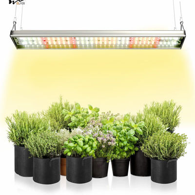 Kitchen Plants' Growth Essential Upgraded Full Spectrum Plant Light with 5000K 3000K