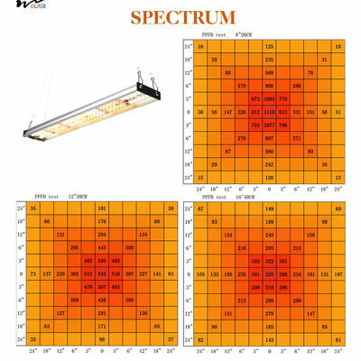 Kitchen Plants' Growth Essential Upgraded Full Spectrum Plant Light with 5000K 3000K