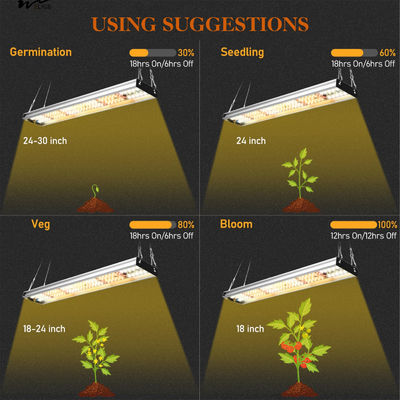 Kitchen Plants' Growth Essential Upgraded Full Spectrum Plant Light with 5000K 3000K