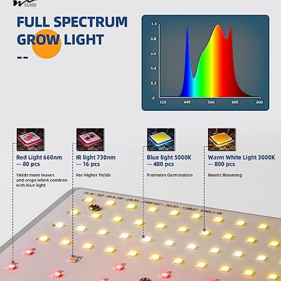 LED Plant Growth Light 480W BU4800 for Daisy Chain Dimmable Adjustable LEDs Grow Lights