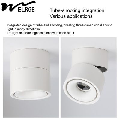 Remote Control Switch Mode LED Cylindrical COB Open-Mounted Downlights for Smart Home