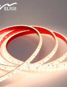 New Design 12V 24V IP68 Waterproof Outdoor LED Smart Strip Lights 120LEDs/M Sincere Solid Silicone Dimmable Strip Light 8mm PCB